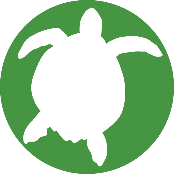 Turtles